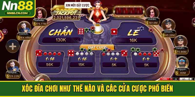 Xóc Đĩa chơi như thế nào và các cửa cược phổ biến